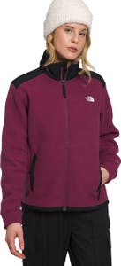 The North Face Alpine Polartec 200 Full Zip Jacket - Women's