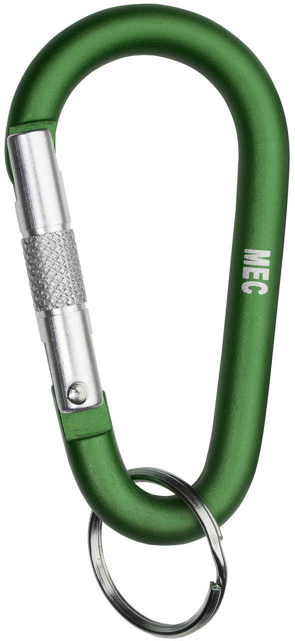 Mini Accessory Carabiner Green