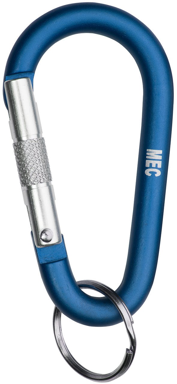 Mini Accessory Carabiner Blue