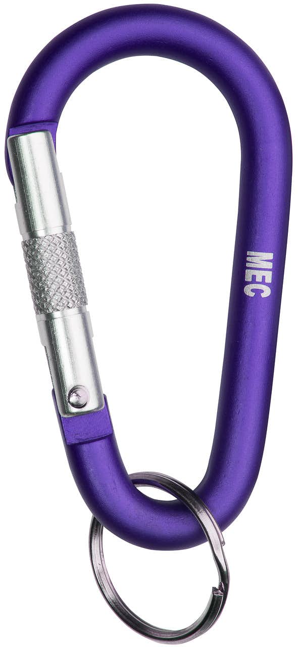 Mini Accessory Carabiner Purple
