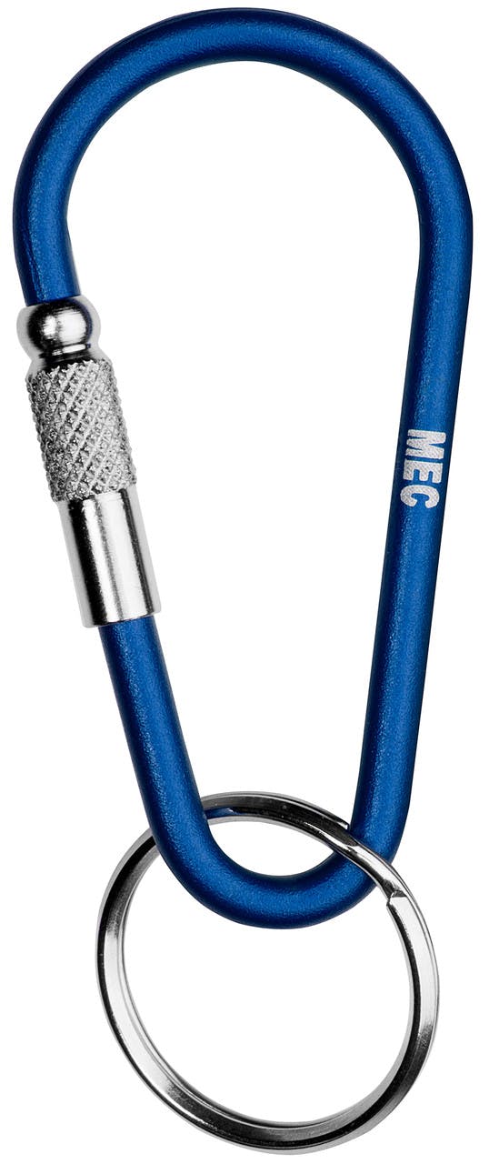 Micro Screwlock Accessory Carabiner Blue