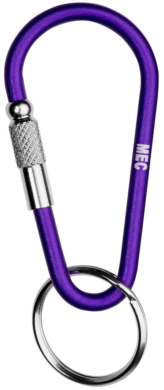 Micro Screwlock Accessory Carabiner Purple