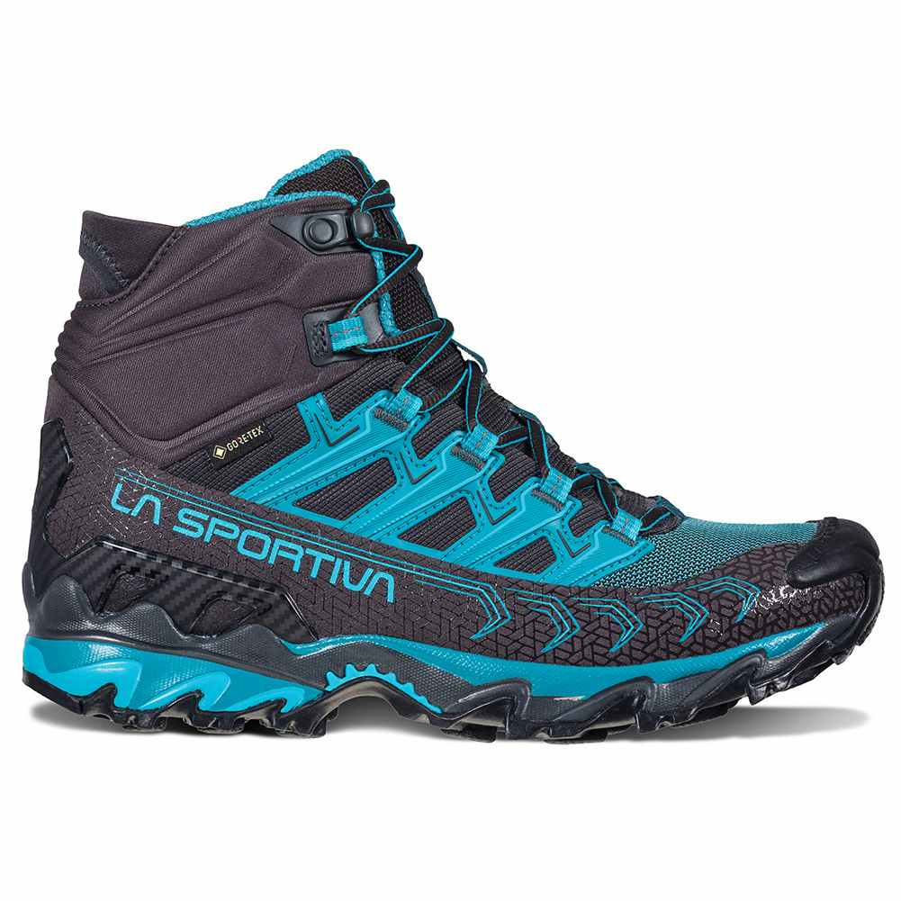 Chaussures de randonnée légère Ultra Raptor II GTX Carbone/Topaze