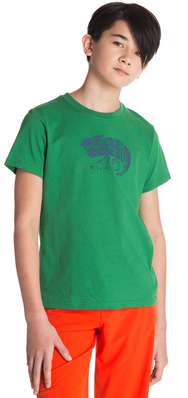 Journey Short Sleeve T-Shirt Greenhouse Gecko Graphic