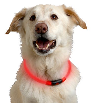 NiteHowl LED Safety Necklace Red