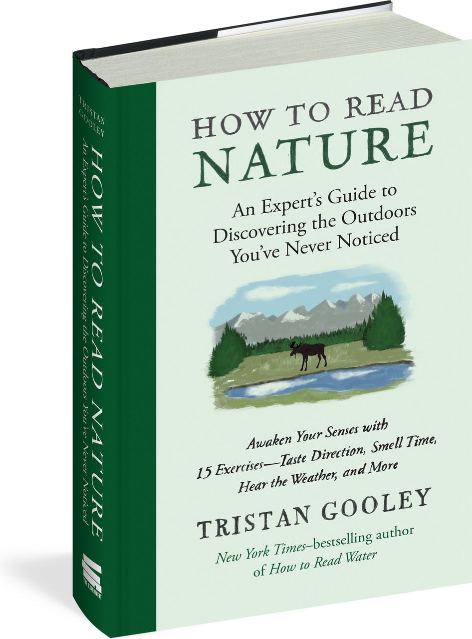 How To Read Nature NO_COLOUR