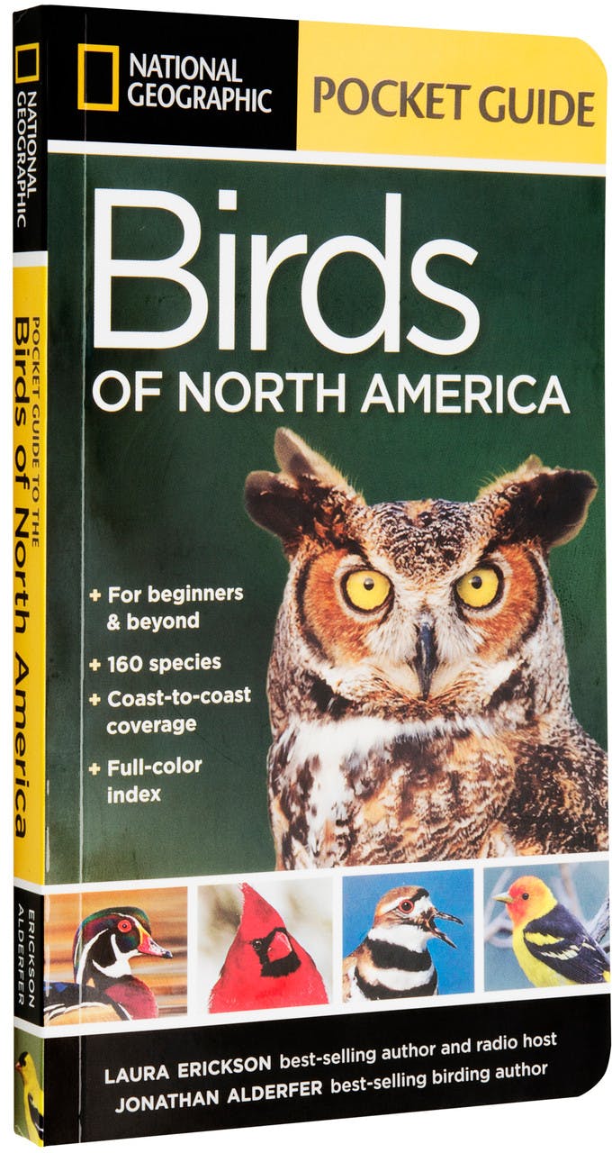 Birds of North America NO_COLOUR