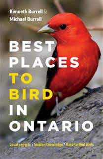 Best Places to Bird in Ontario NO_COLOUR