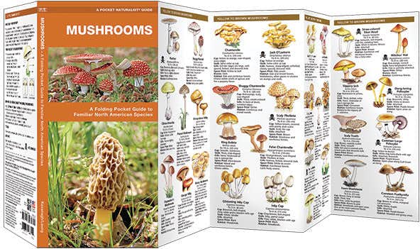 Mushrooms NO_COLOUR