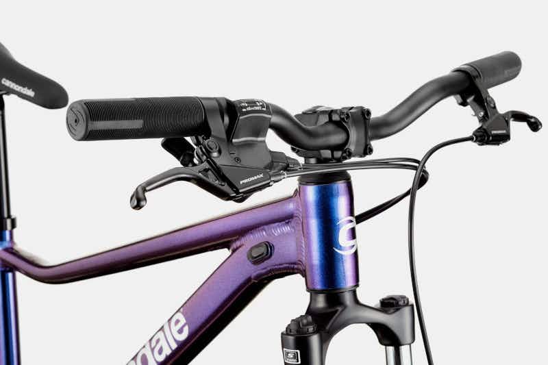Trail 26" Bicycle Purple Haze
