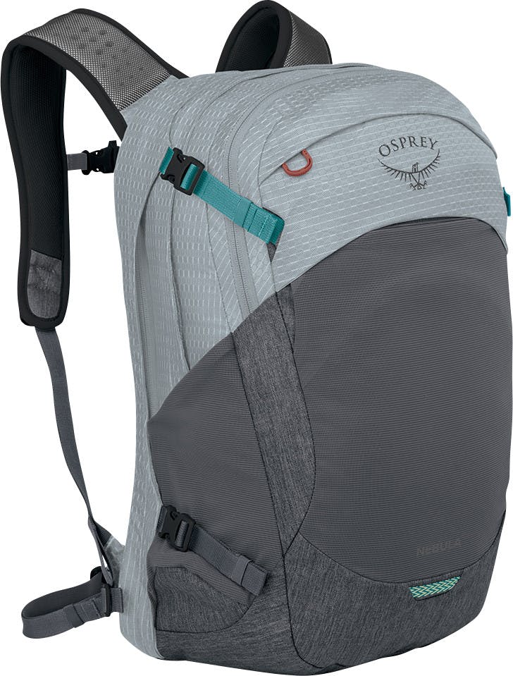 Nebula 32 Backpack Silver Lining/Tunnel Visi