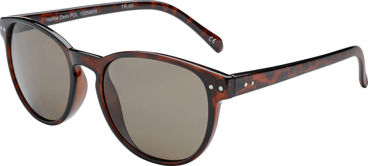 Harlow Sunglasses Demi/Brown Lens