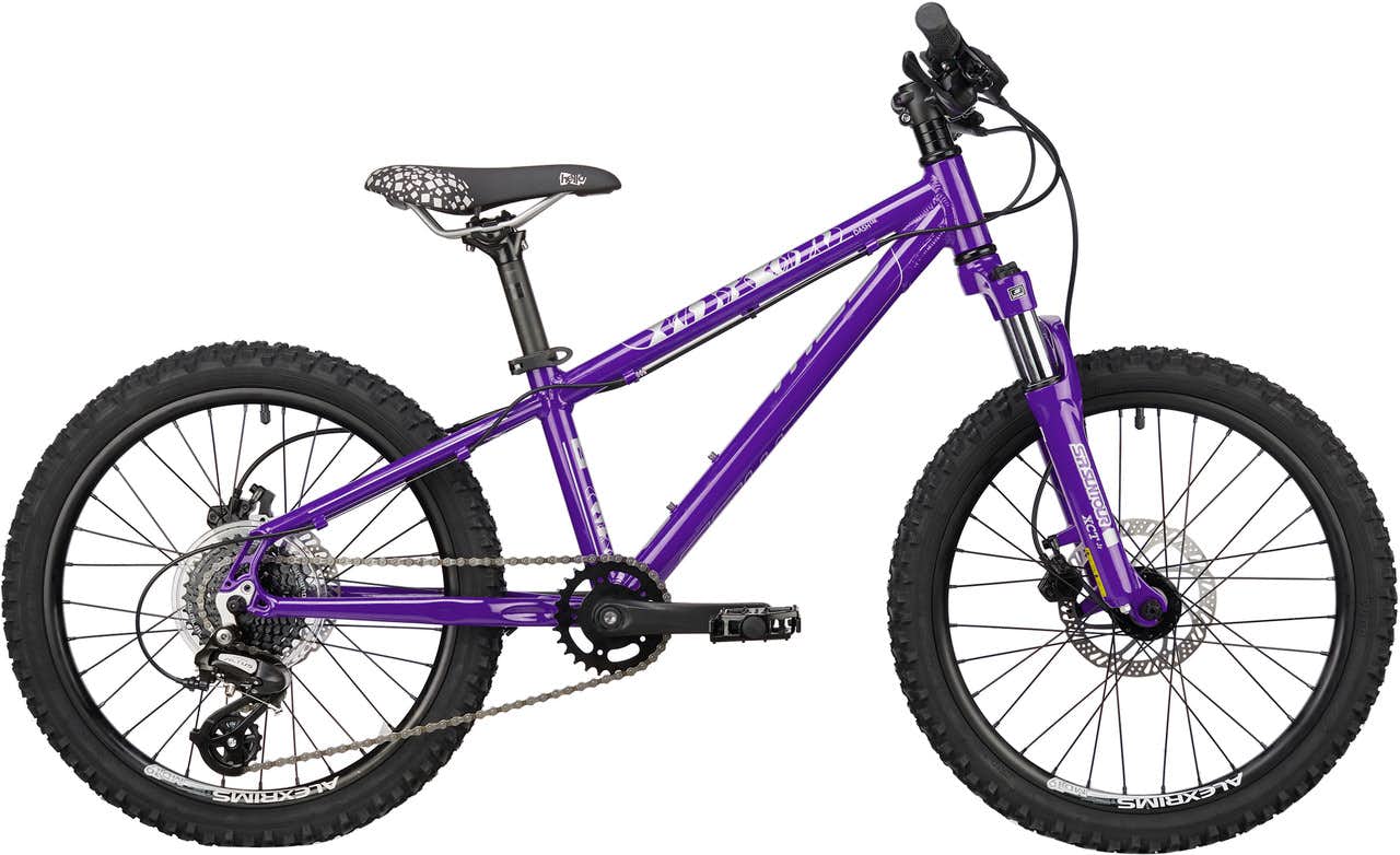 Dash LTD Bike Purple/Silver