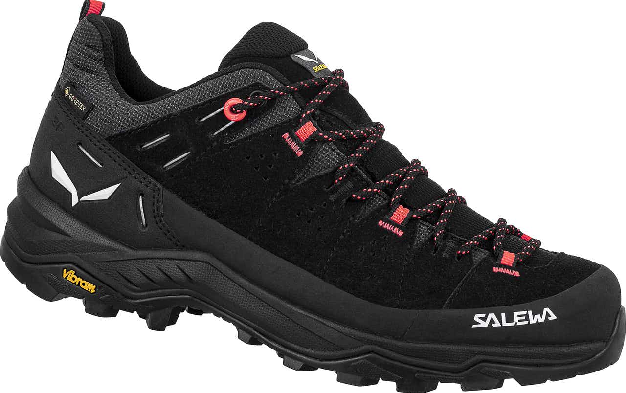 Chaussures de courte randonnée Alp trainer 2 GTX Onyx noir
