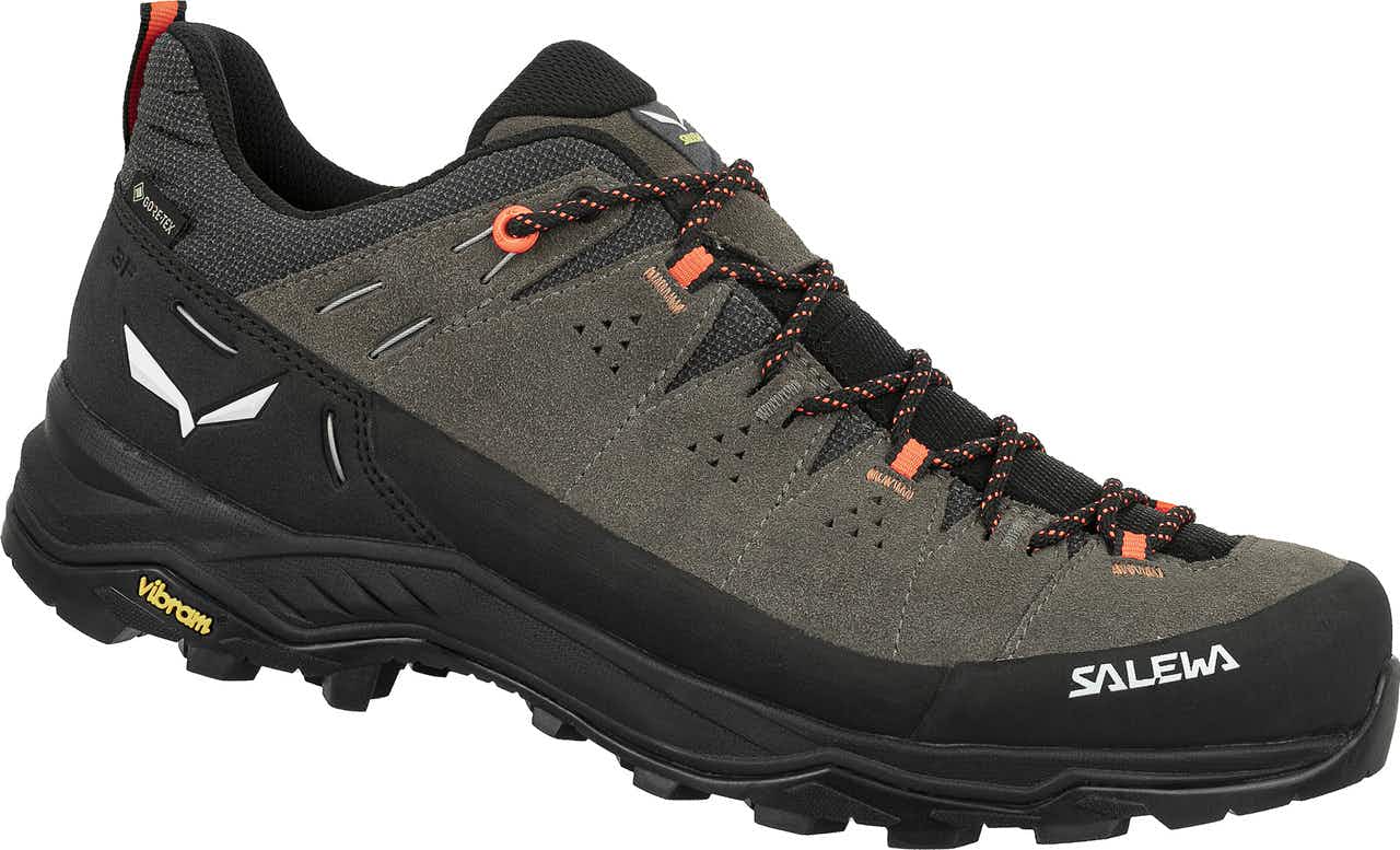 Chaussures de courte randonnée Alp trainer 2 GTX Cordon élastique/Noir