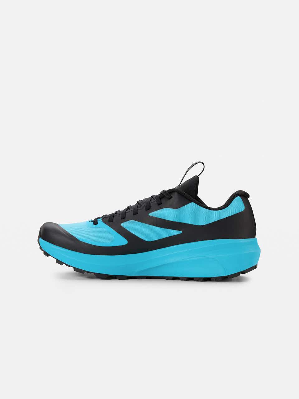 Norvan LD 3 Gore-Tex Trail Running Shoes Cosmic Cyan/Light Forage
