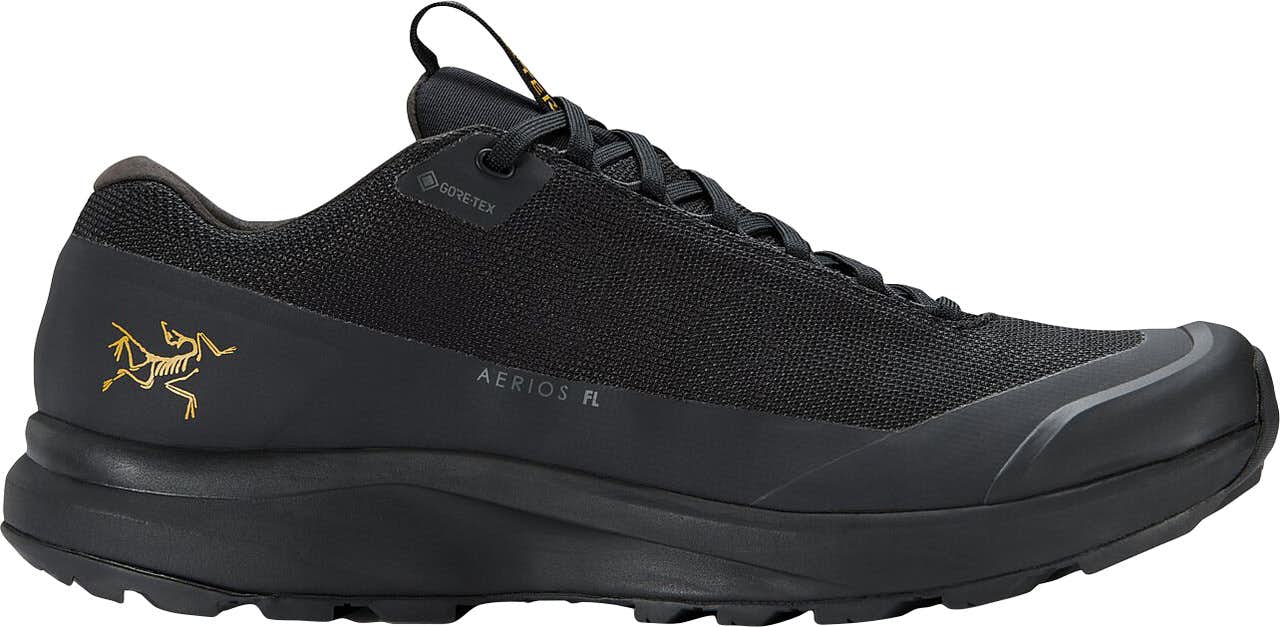 Aerios FL 2 Gore-Tex Light Hike Shoes Black/Black