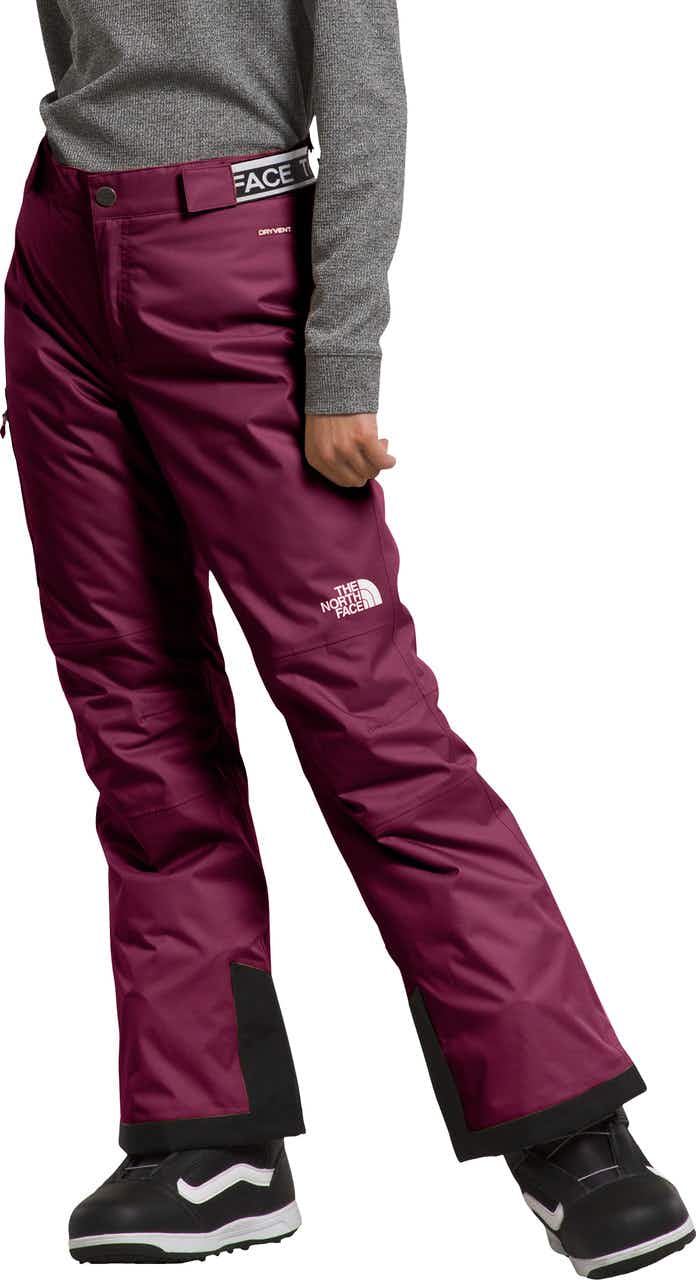 Freedom Insulated Pants Boysenberry