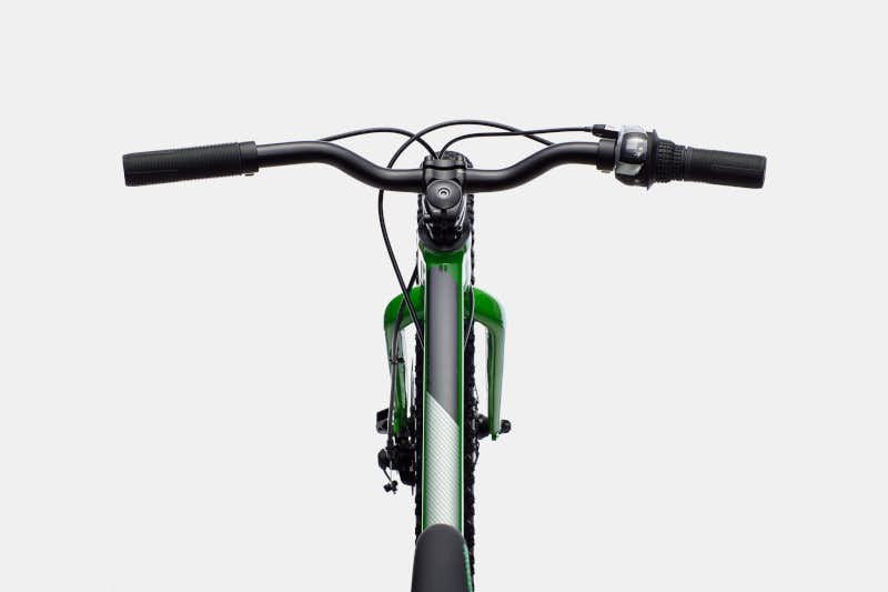 Cujo Plus 24" Bicycle Green