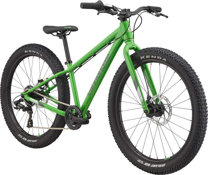 Cujo Plus 24" Bicycle Green