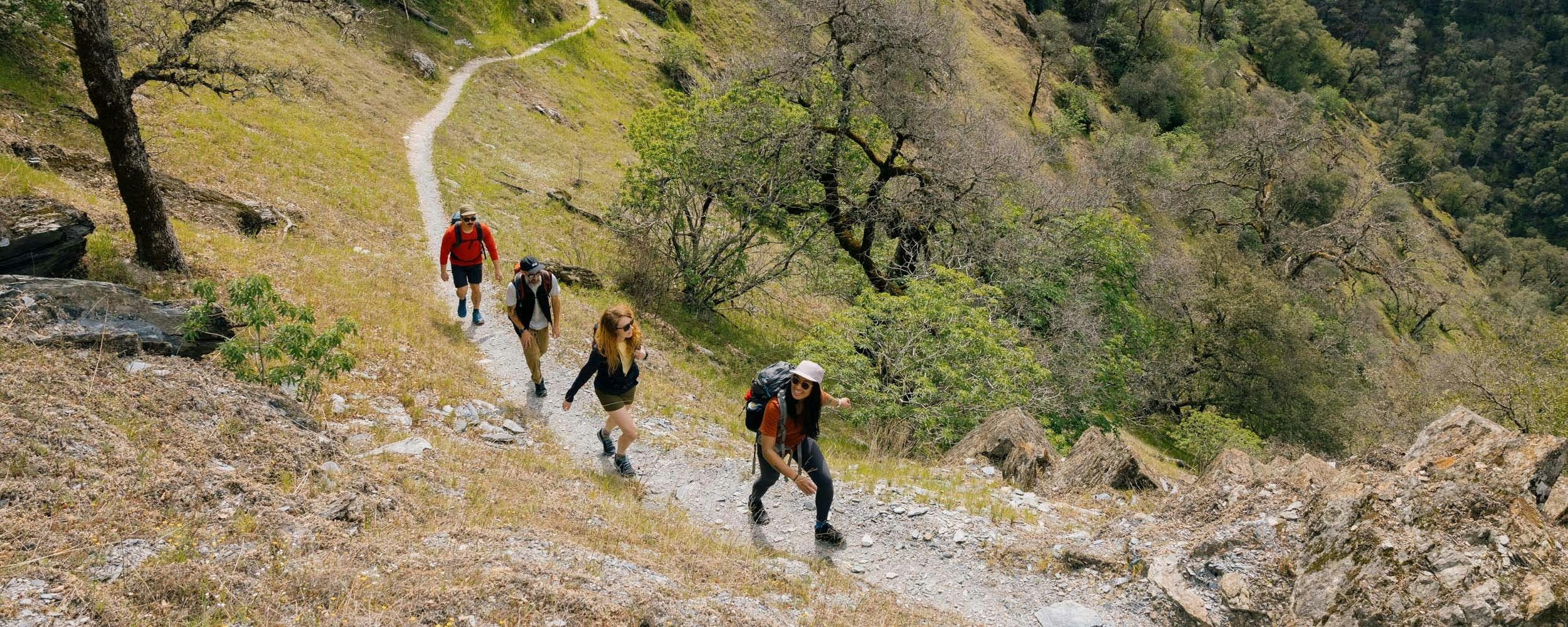 Four people hiking uphill on a path
