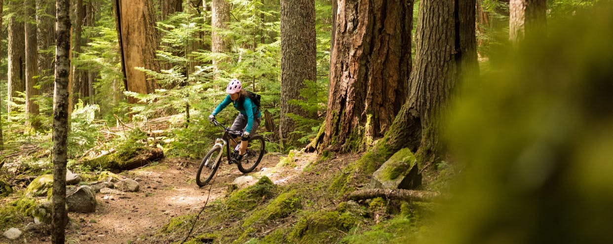 Person riding a mountain bike through a lush coastal forest