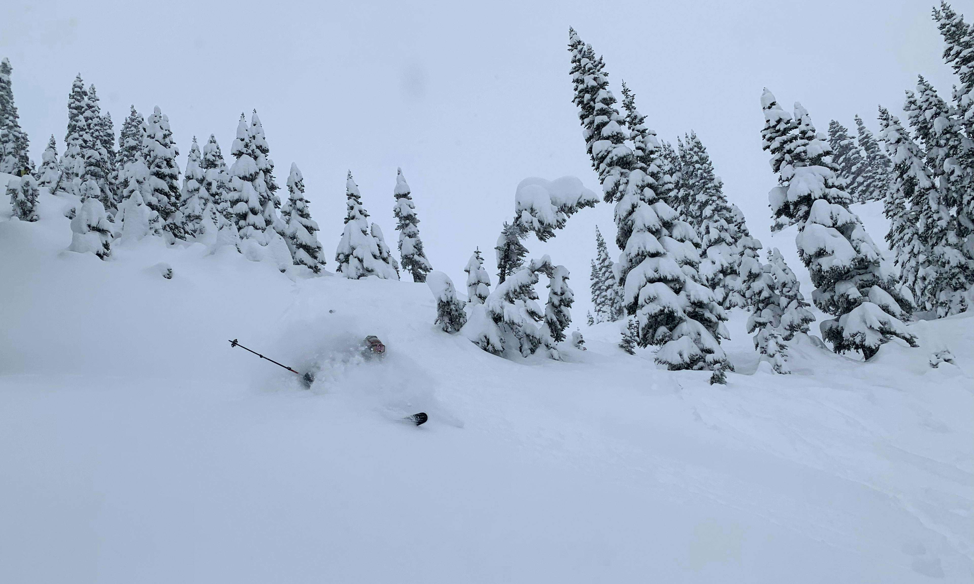 Skier in deep powder