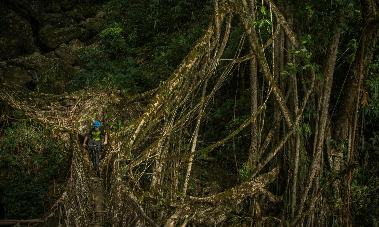 mountain biking over a root bridge in India