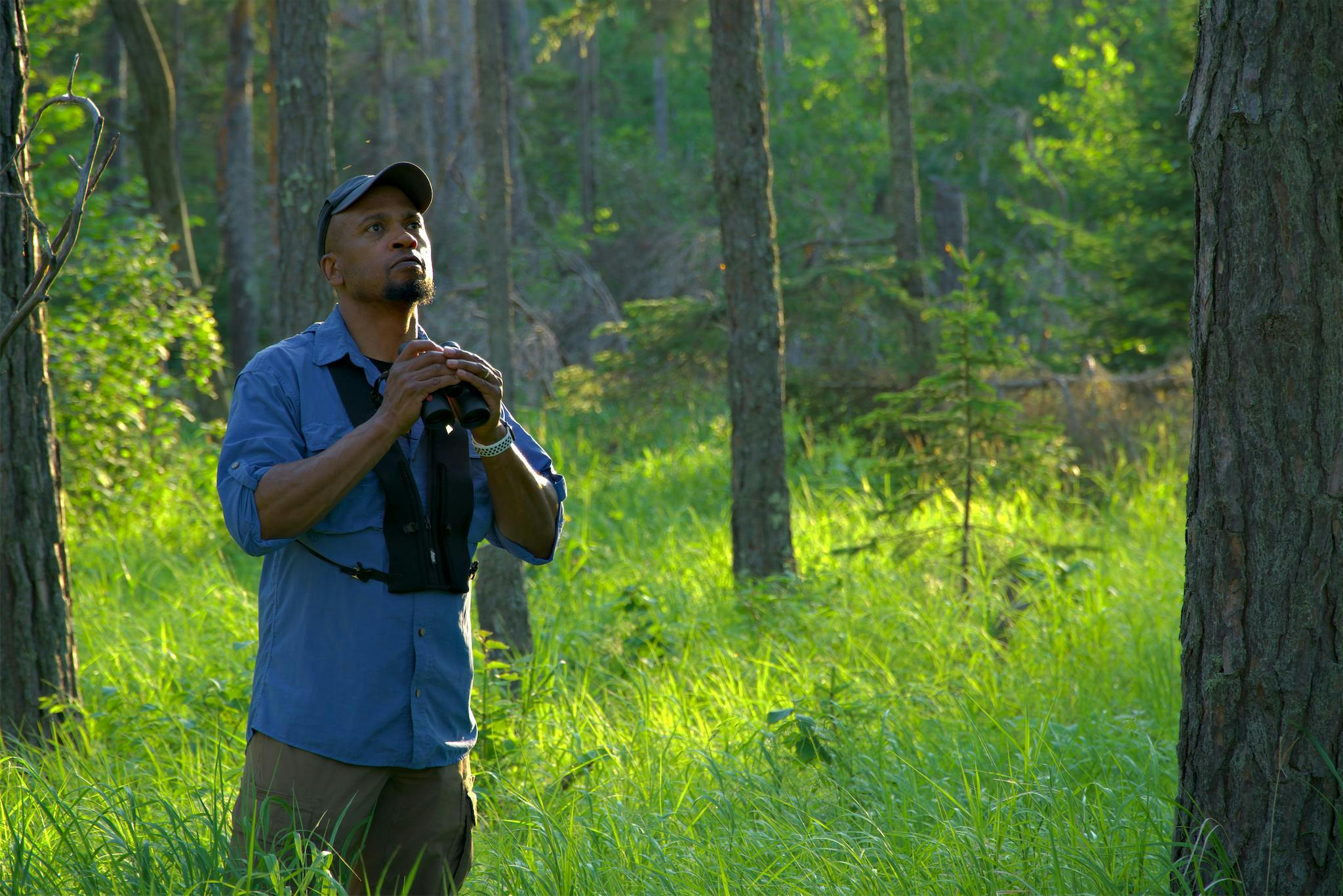 Photographer Dudley Edmondson in a sunlit forest, holding a pair of binoculars and looking up