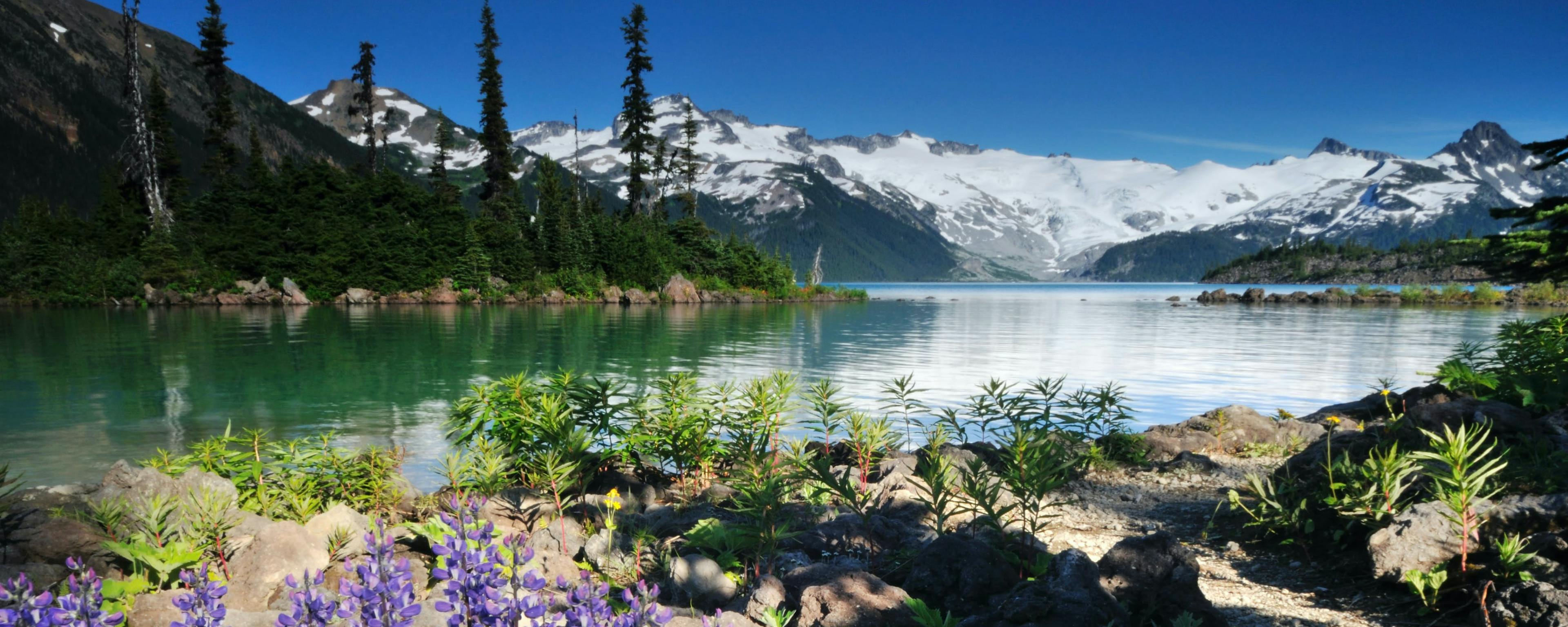 6 Vancouver hikes that you can hit up without a car