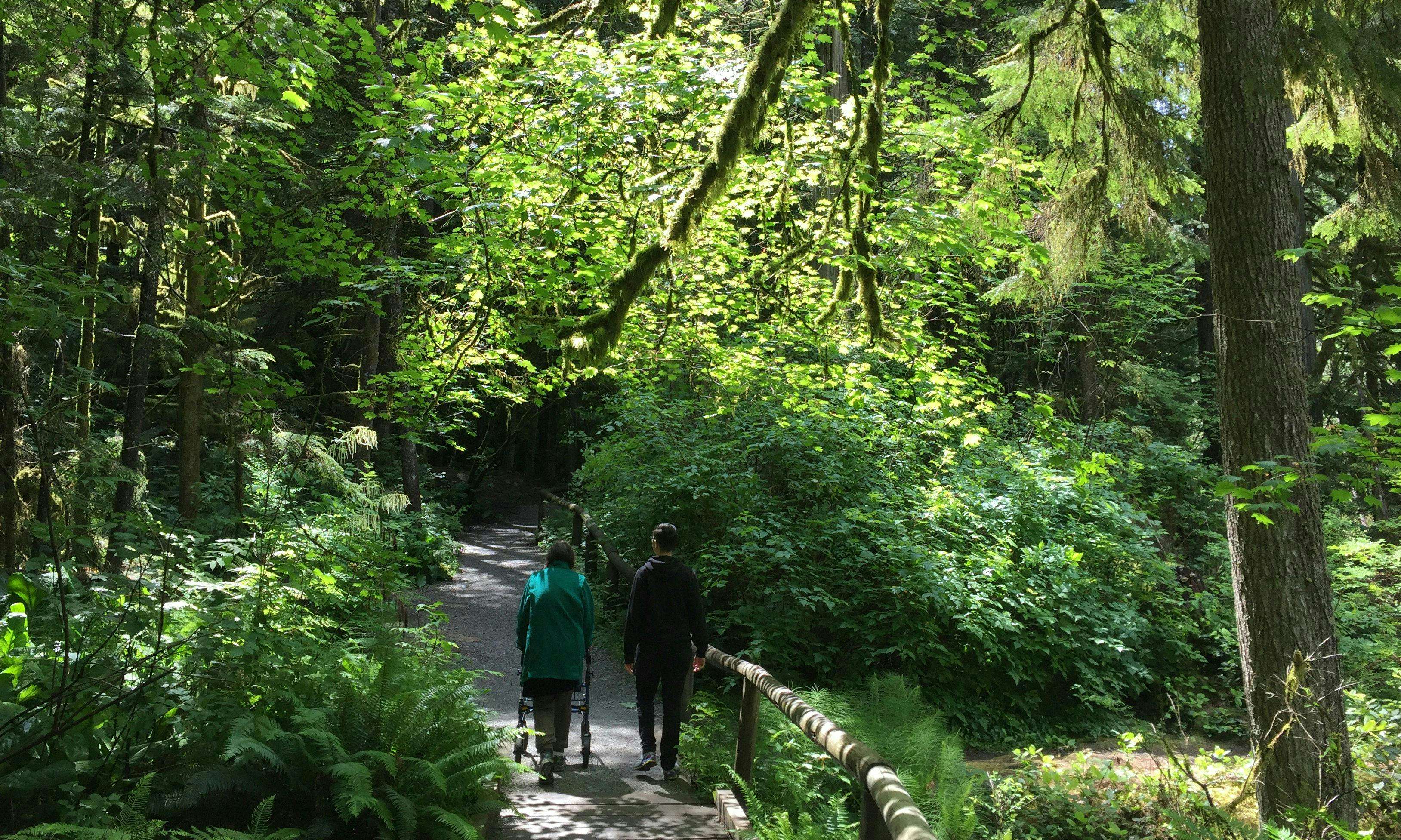 Two people walk on a trail through a lush green forest