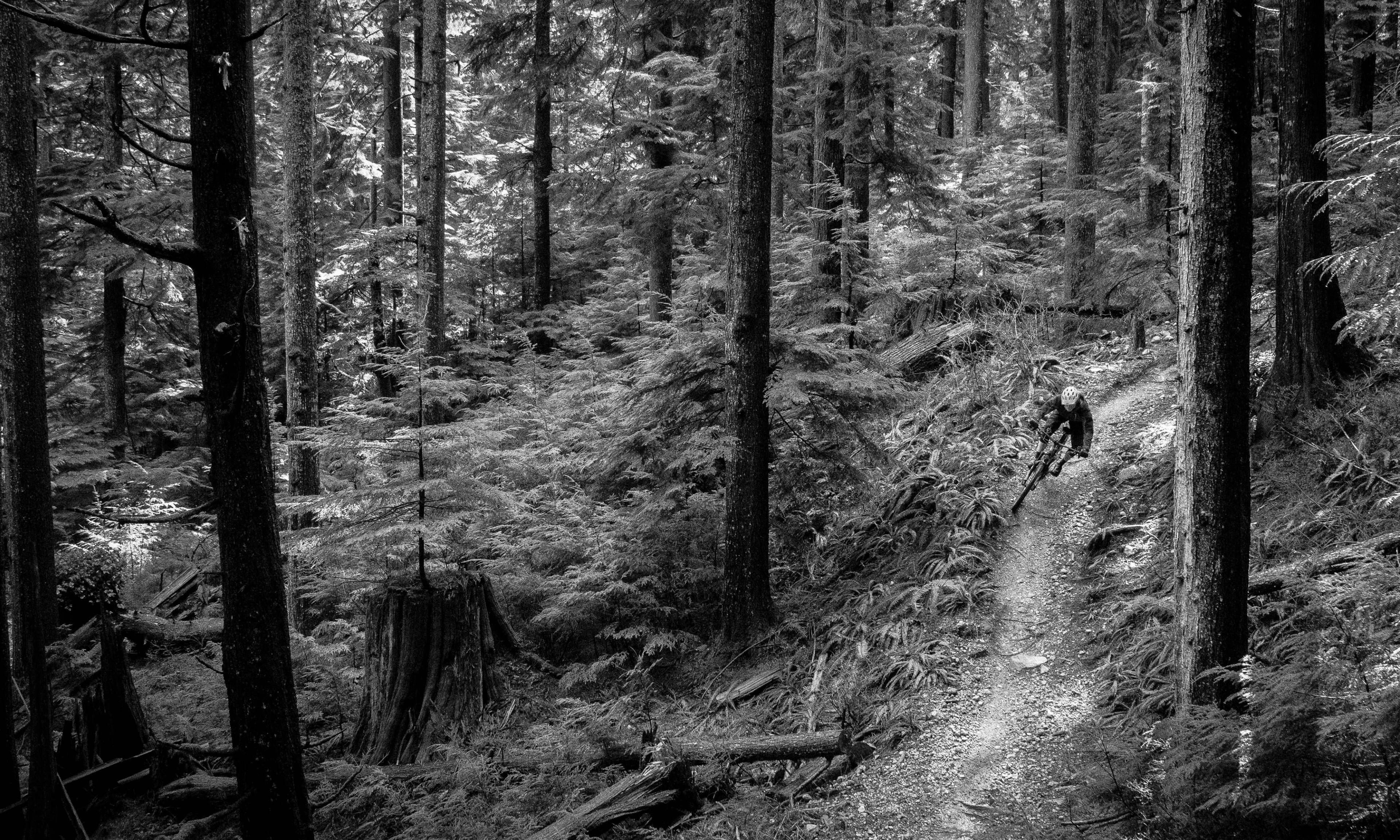 Mountain biking on Mount Fromme, North Vancouver, BC