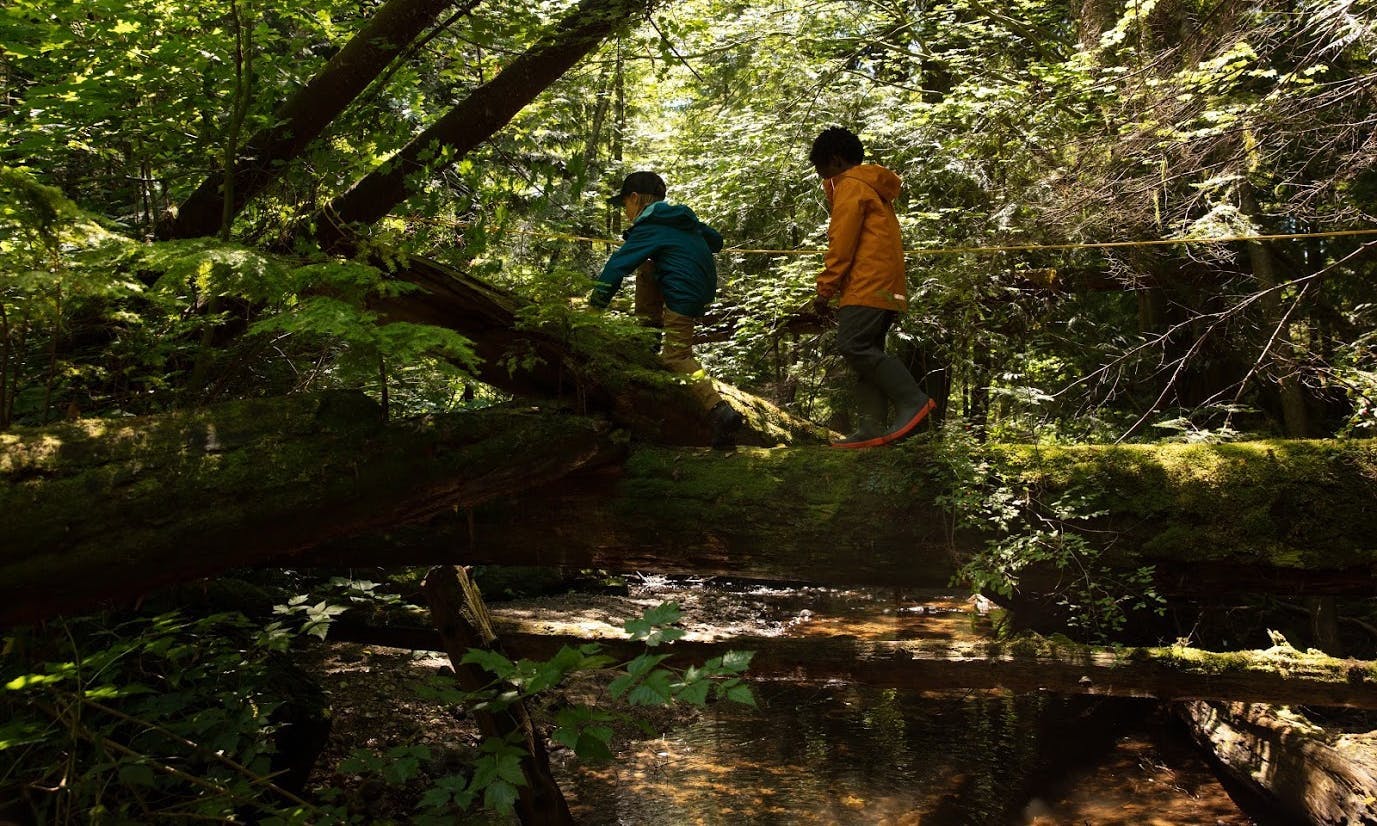 Two kids walking on a log over a small creek