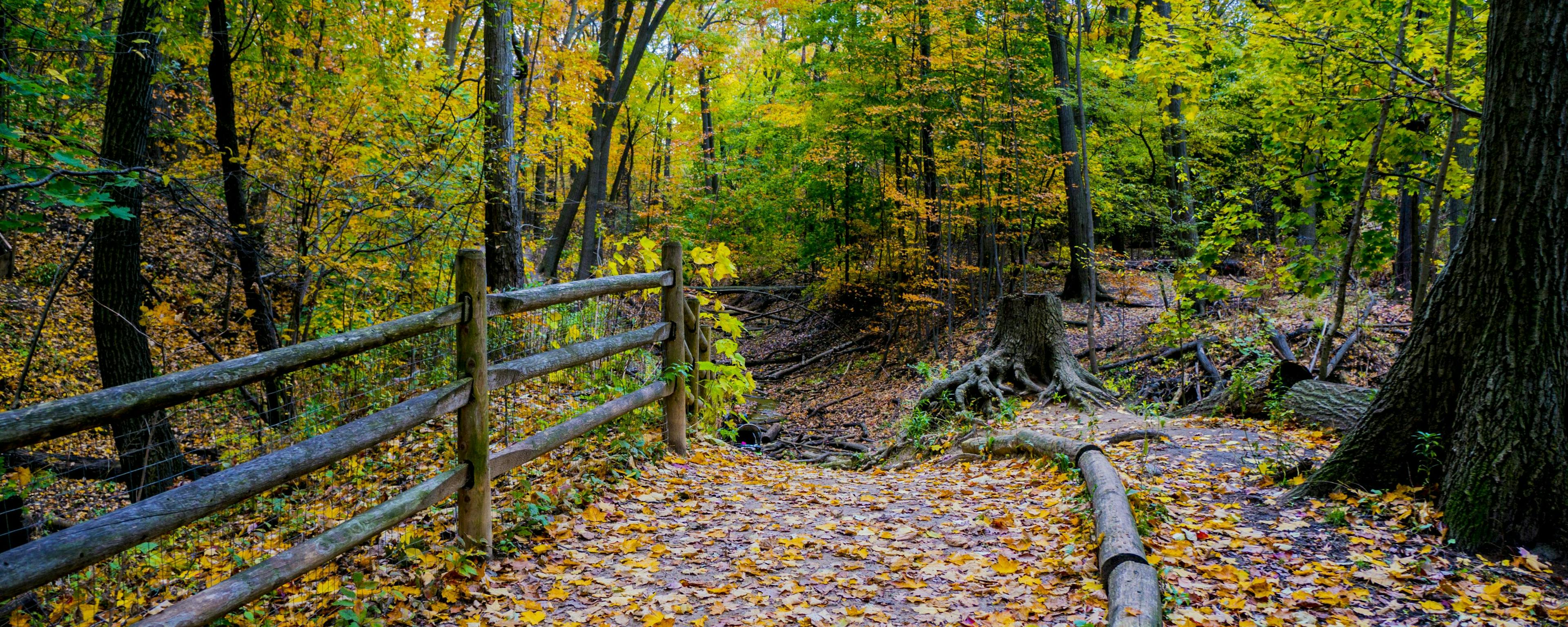 8 Toronto running trails you can get to without a car