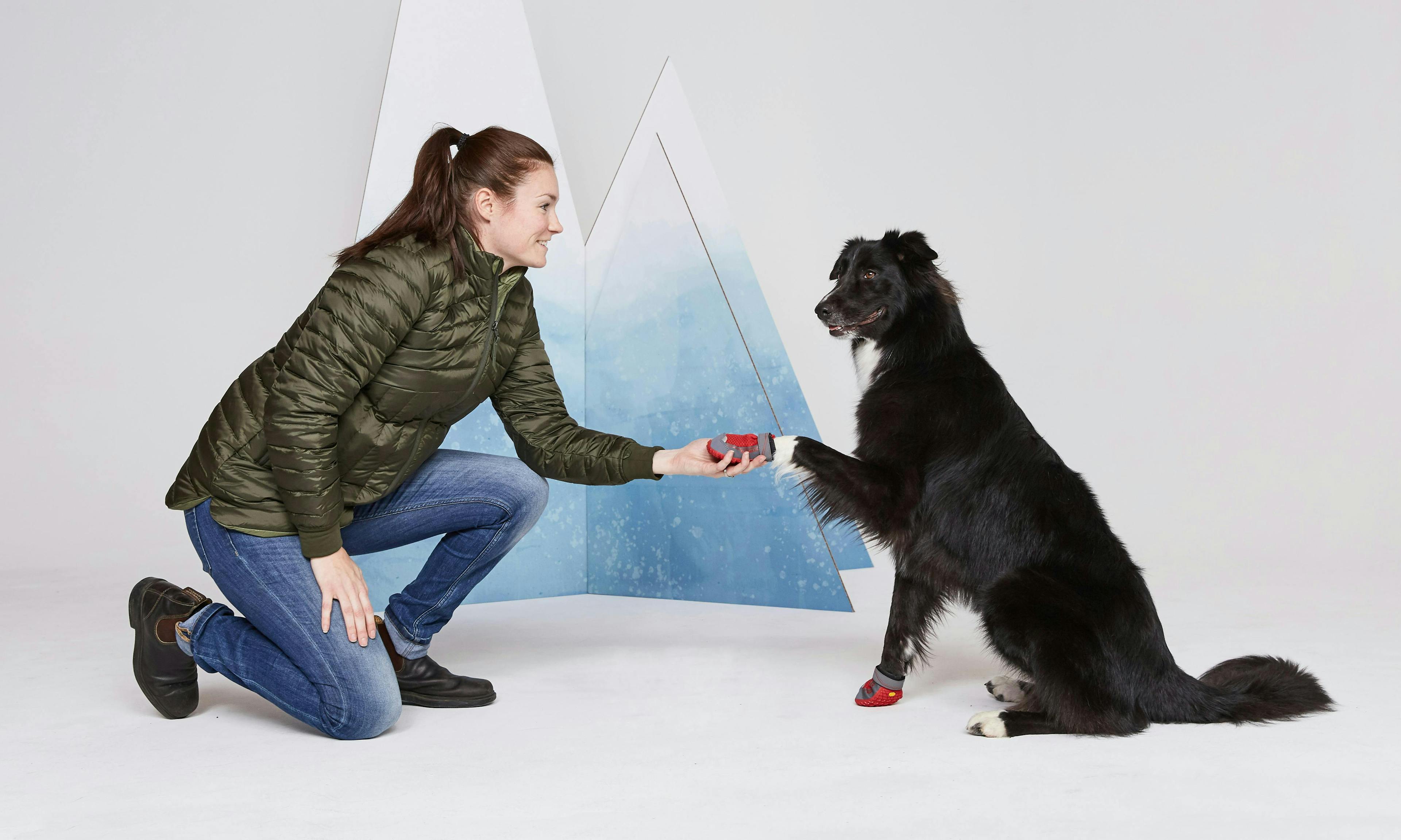 Person holding dog's paw, and dog is wearing Ruffwear boots