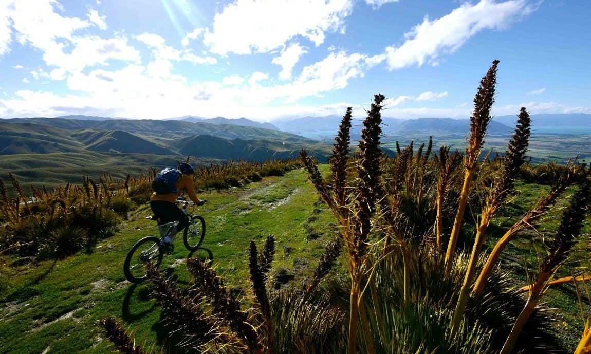 Mountain biking in Queenstown, New Zealand