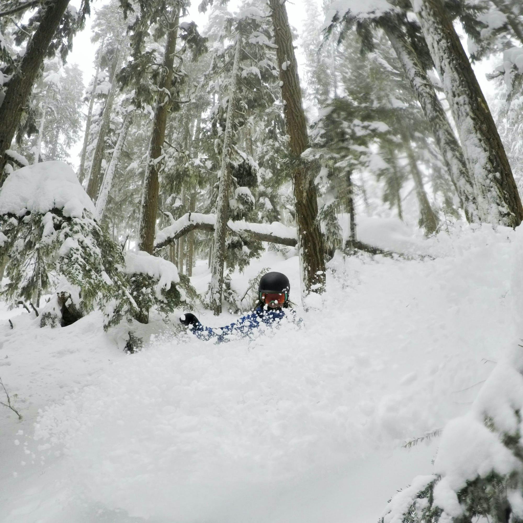 Abby Cooper snowboarding in powder under trees.