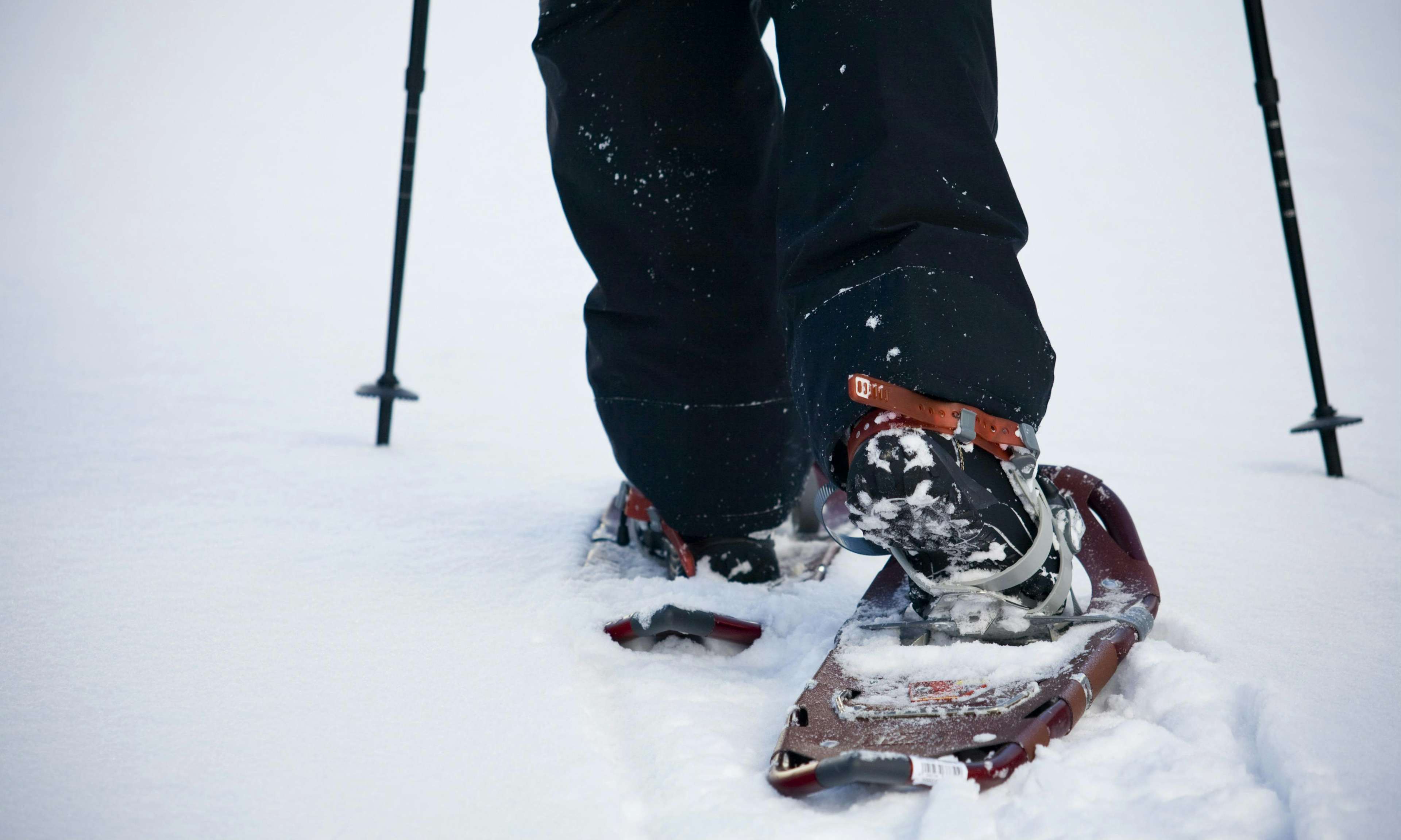 Close-up of hiking boots in snowshoes