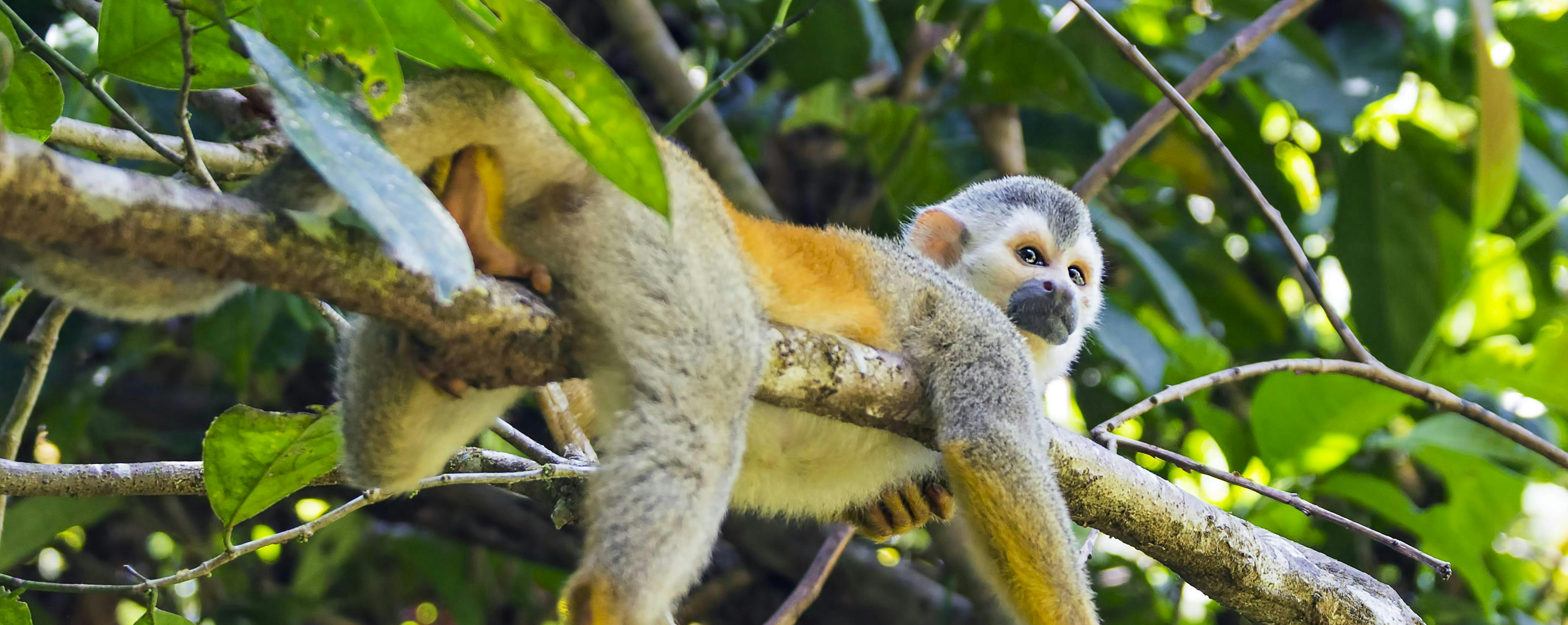 5 reasons you’ll want to visit Costa Rica