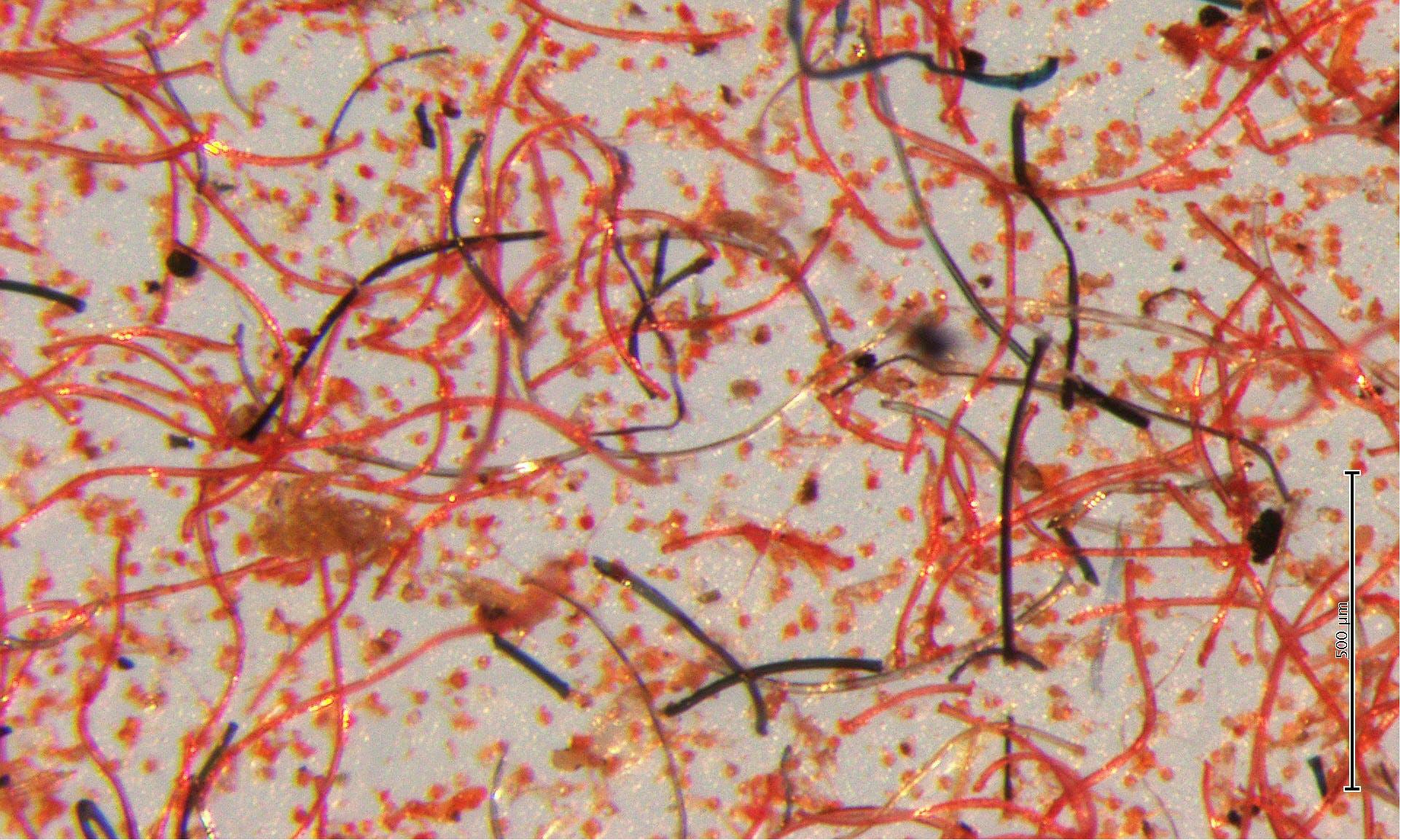 Close-up of microfibres