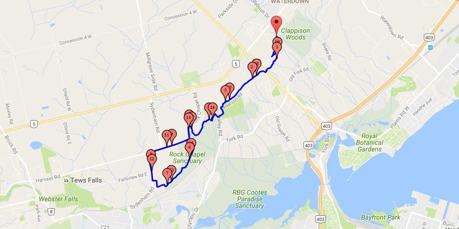 Bruce Trail old-growth and cascading waters - run route map