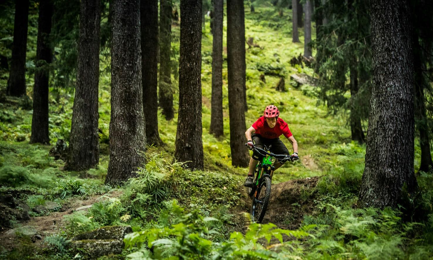 mountain biking downhill in a forest