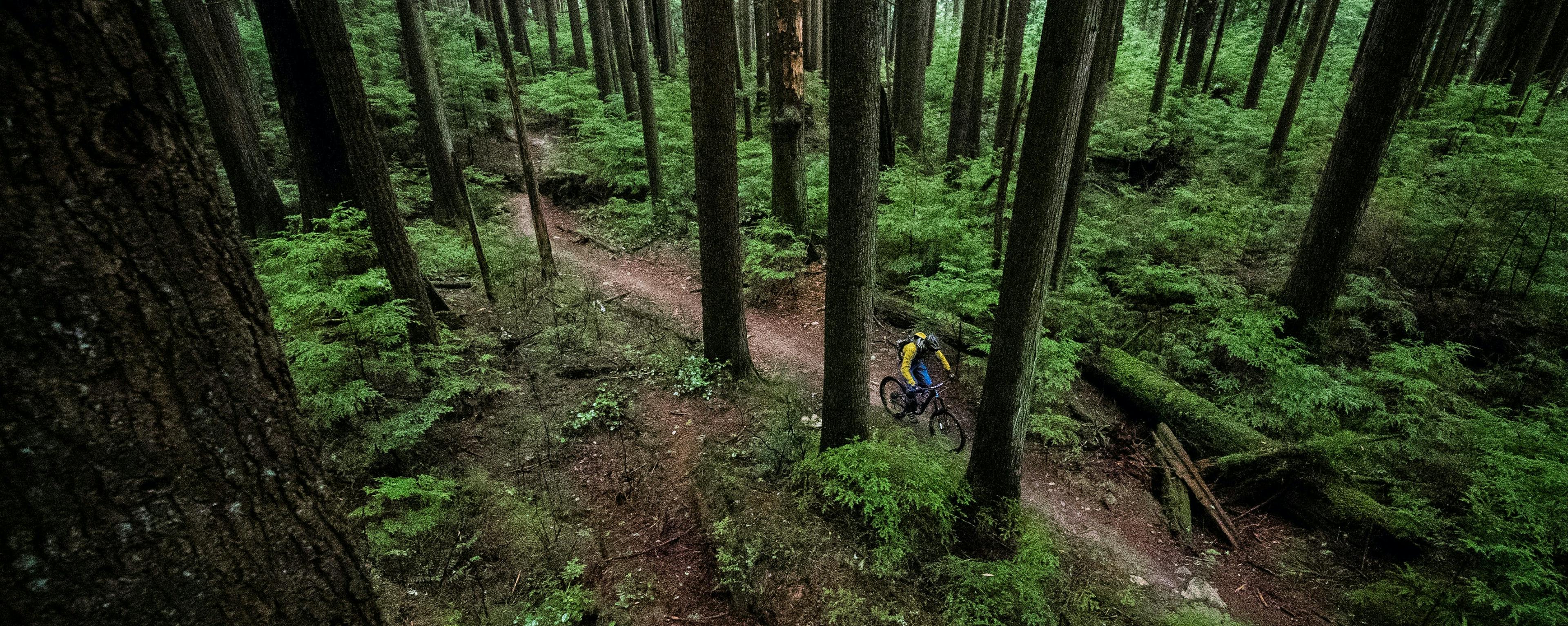 Trail tips: Where to mountain bike in North Vancouver