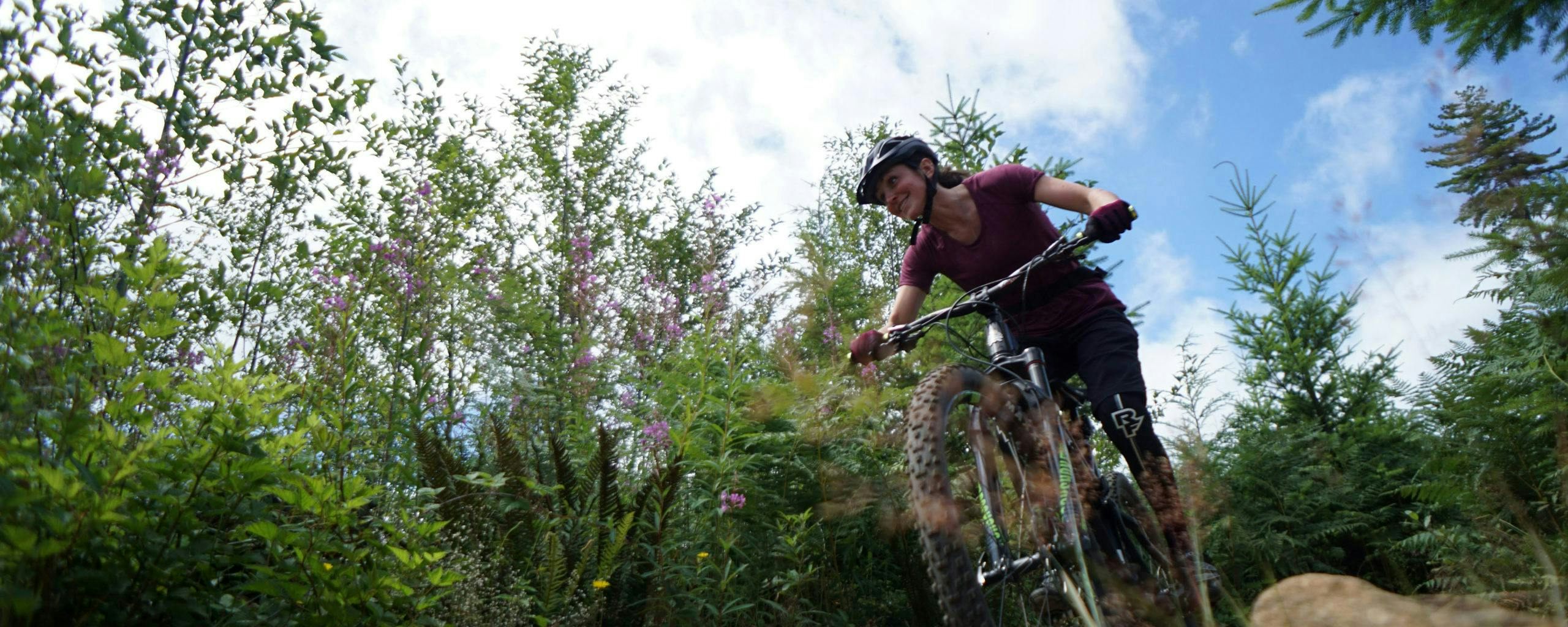 Mountain biker on a wooded trail