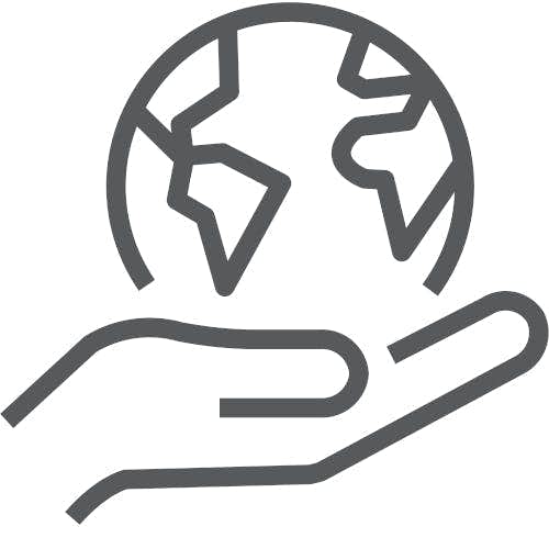 Icon of a hand holding the earth