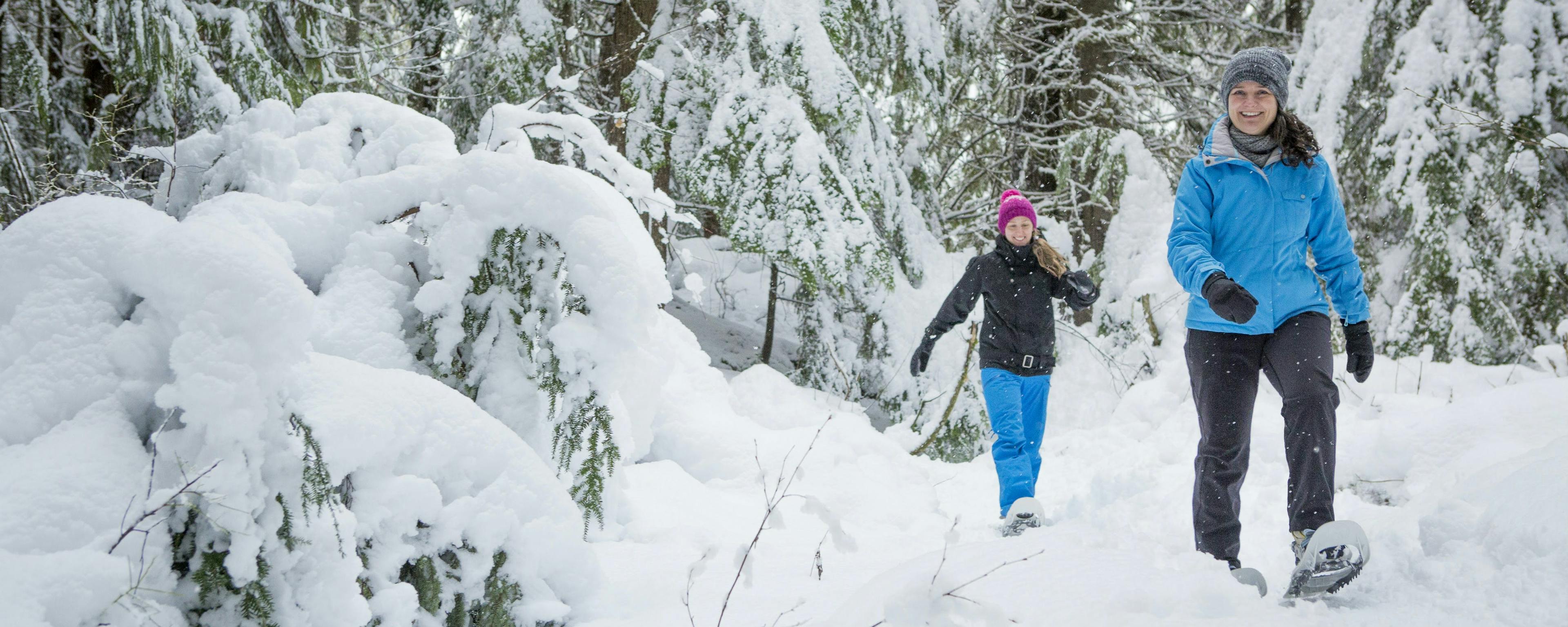 How to start snowshoeing
