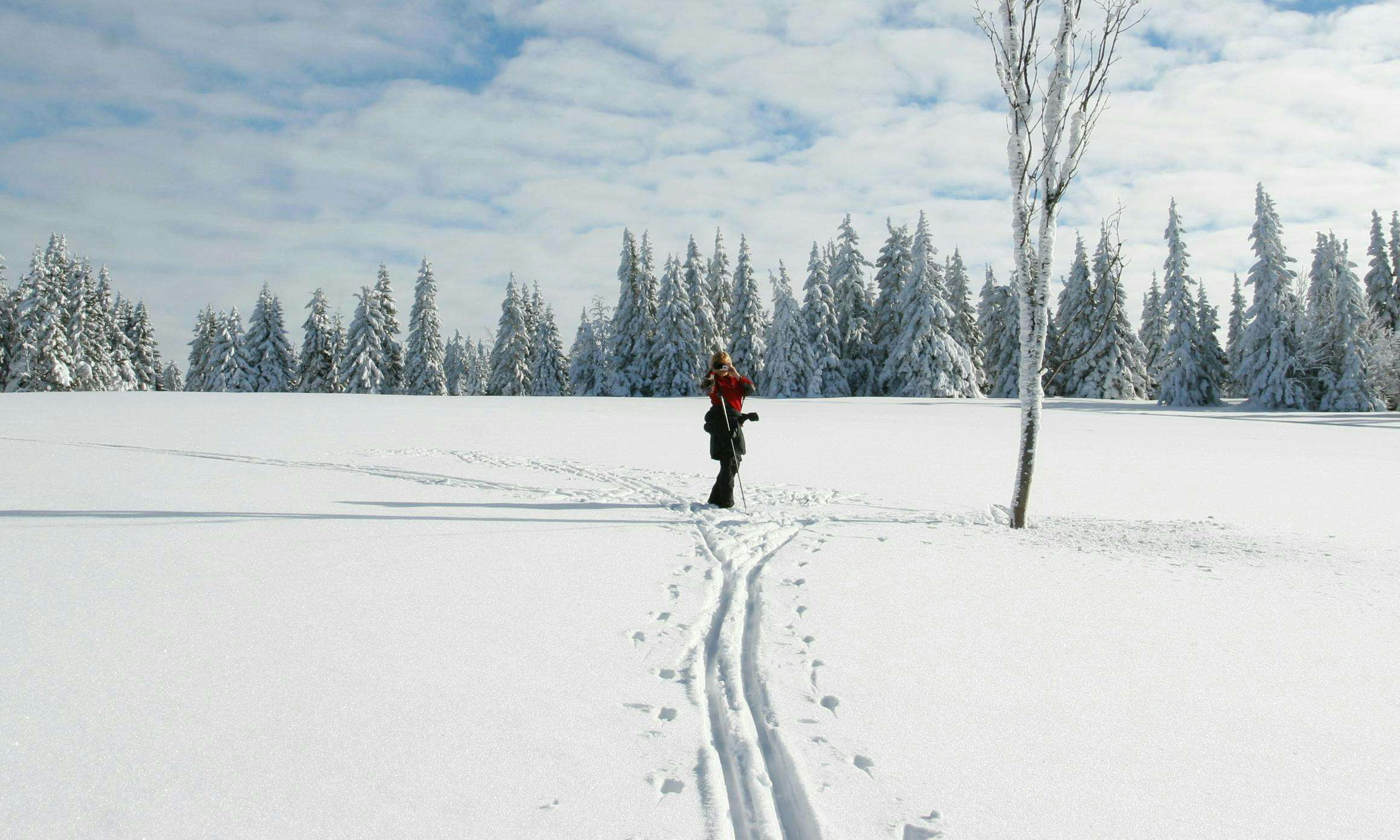 Person cross-country skiing across a flat, snowy untracked area