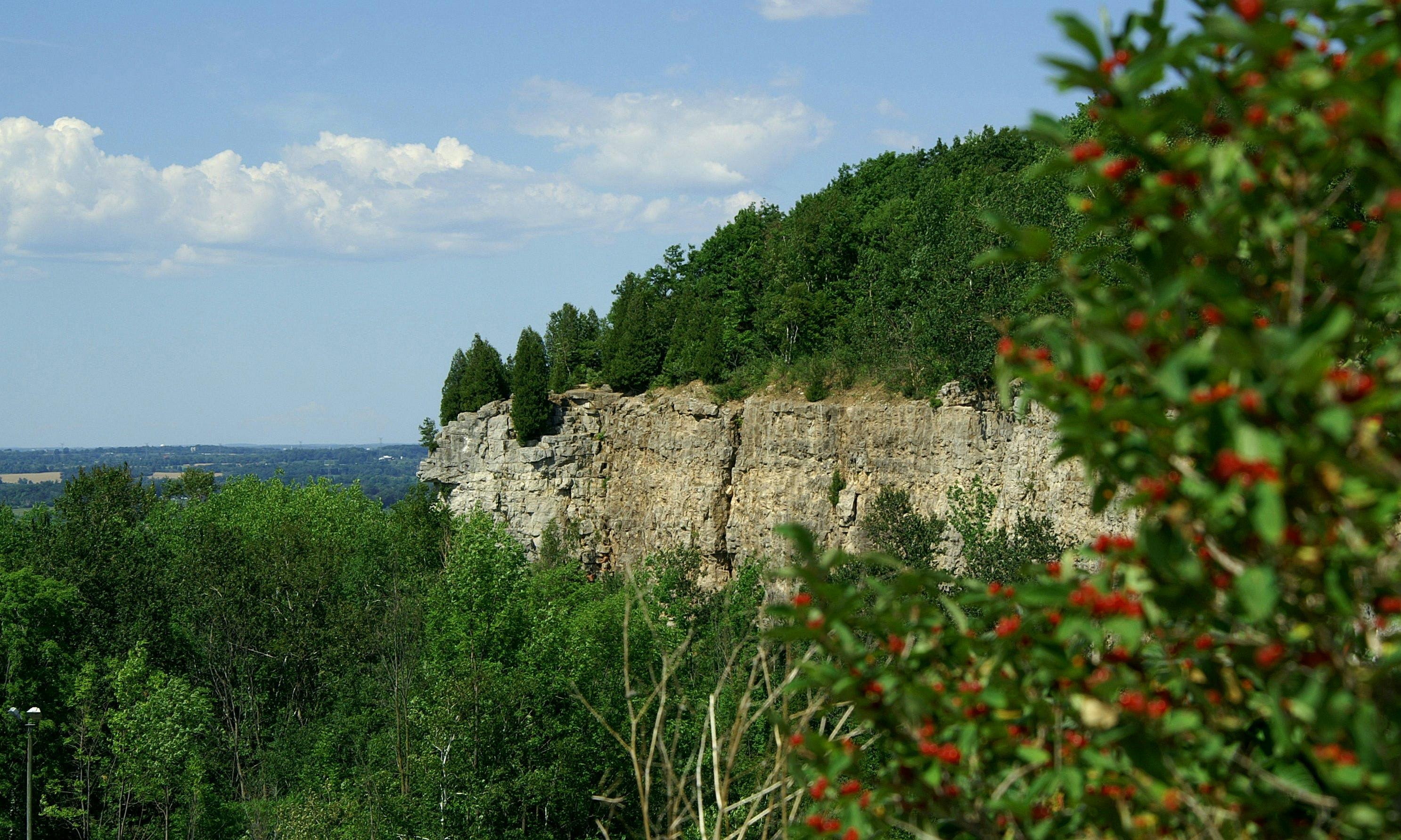 Cliff at Kelso Conservation Area
