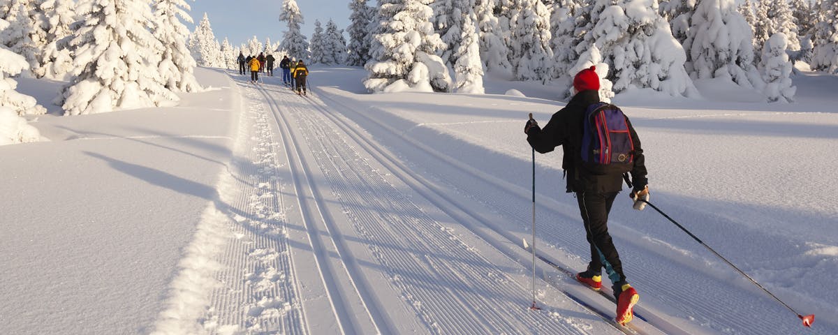 6 winter-friendly trails around Montreal