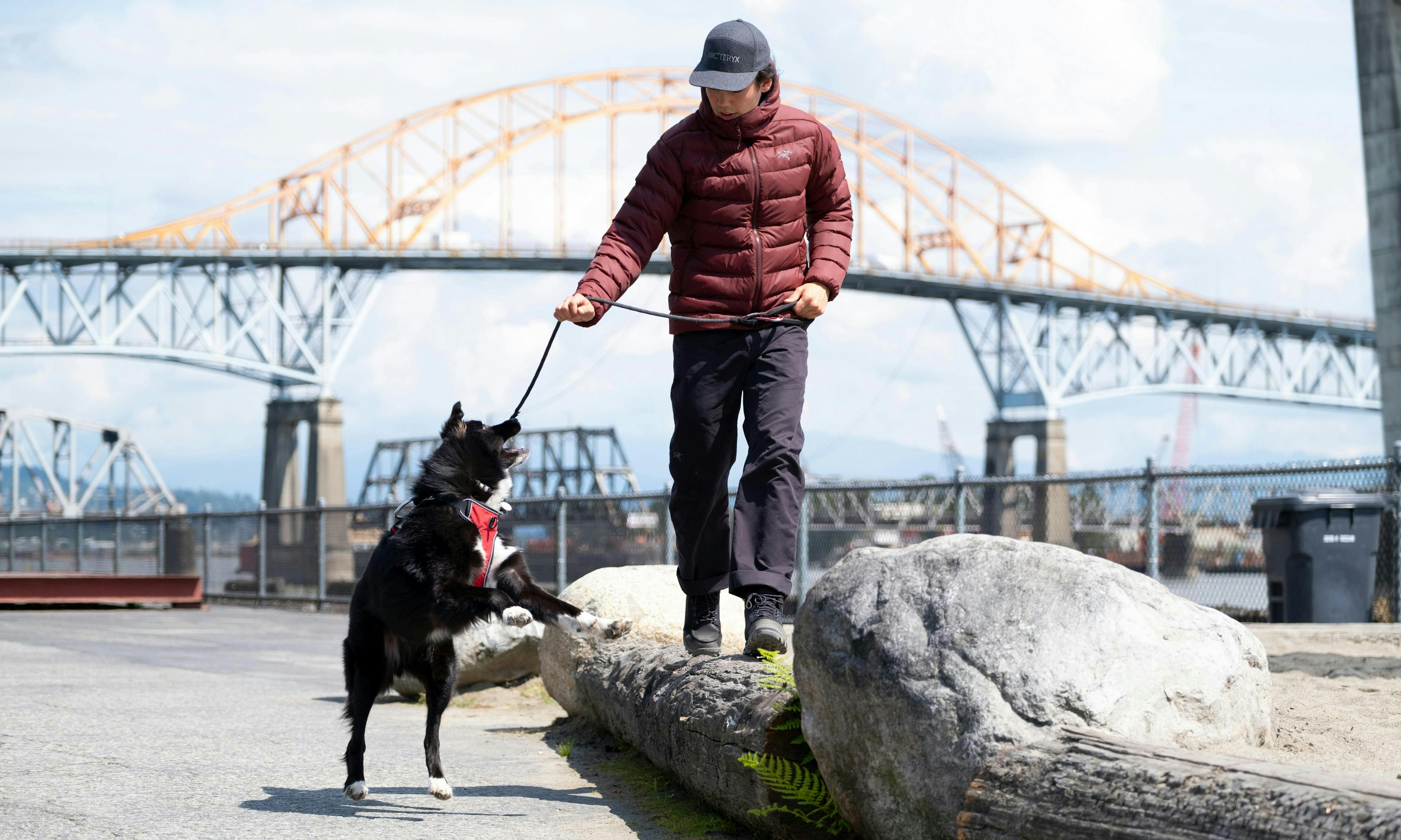 Man wearing an Arc'teryx puffy jacket and walking a rambunctious dog
